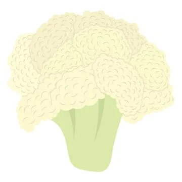 Cauliflower icon Stock Illustration