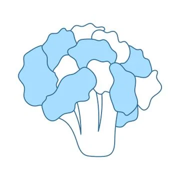 Cauliflower Icon Stock Illustration