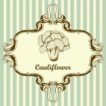 Cauliflower Icon Stock Illustration