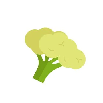 Cauliflower icon line solid colored. Vegetable flat illustration Stock Illustration