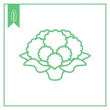 Cauliflower Stock Illustration