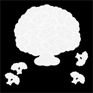 Cauliflower isolated on black background Illustrazione stock