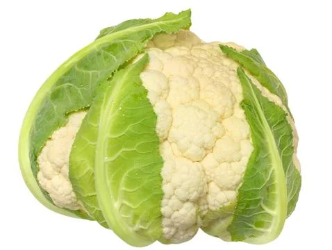 Cauliflower isolated Stock Photos