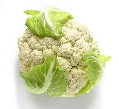 Cauliflower isolated on white background Stock Photos