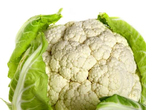 Cauliflower isolated on white background Stock Photos