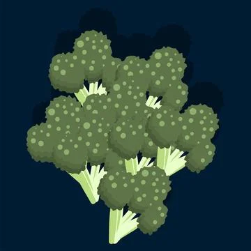 Cauliflower with leaves and stem vector drawing vector Stock Illustration