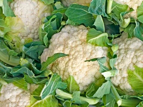 Cauliflower Stock Photos