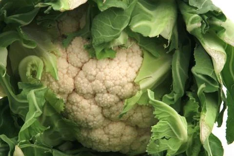 Cauliflower. Stock Photos