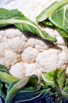 Cauliflower Stock Photos