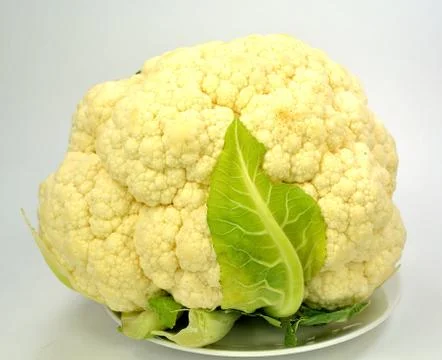 Cauliflower Stock Photos