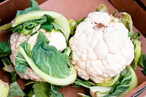 Cauliflower Stock Photos