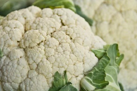 Cauliflower Stock Photos
