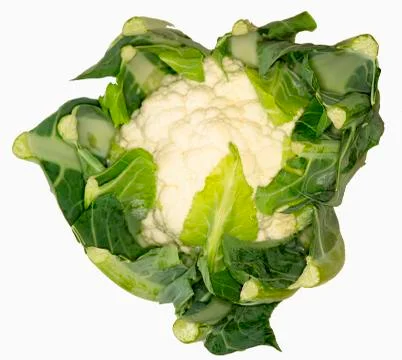 A cauliflower Stock Photos