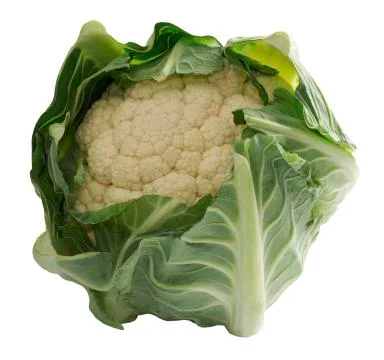 Cauliflower 写真素材