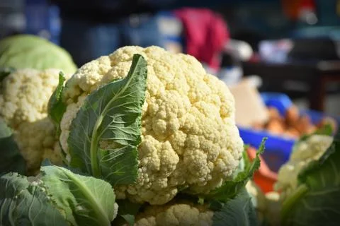 Cauliflower Stock Photos