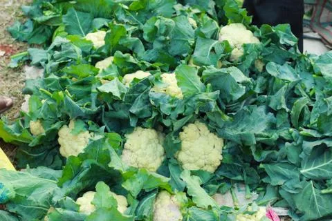 Cauliflower Foto stock