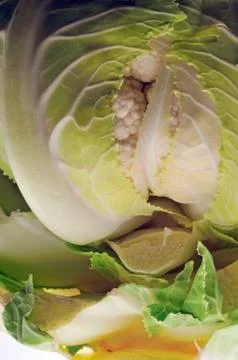 Cauliflower Stock Photos