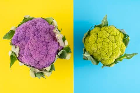 Cauliflower Stock Photos