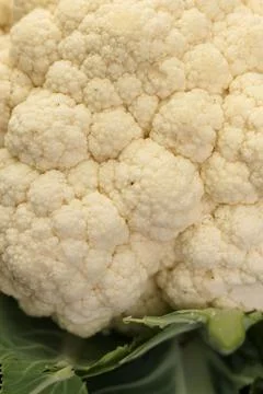 Cauliflower Stock Photos
