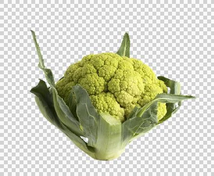 Cauliflower Stock Photos