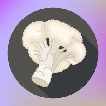 Cauliflower piece flat vector icon Cauliflower piece flat vector icon. Rip... Stock Photos