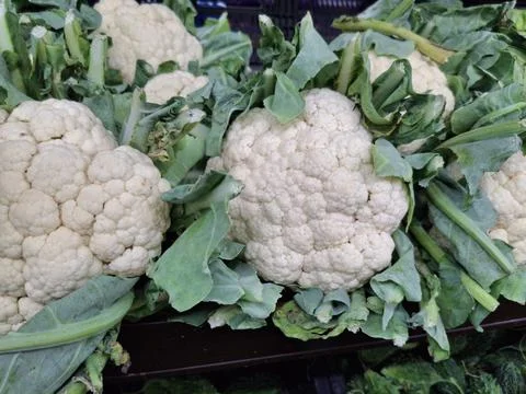 Cauliflower  : Pristine close-up of a cauliflower with its tightly packed Stock Photos