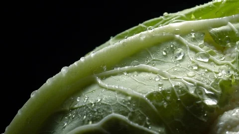 Cauliflower in rotation on black background. Stock Footage 98762659