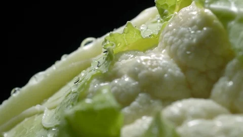 Cauliflower in rotation on black background. Stock Footage 98762834