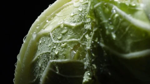 Cauliflower in rotation on black background. Stock Footage 98762854