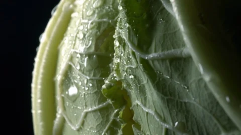 Cauliflower in rotation on black background. Stock Footage 98762899