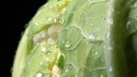 Cauliflower in rotation on black background. Stock Footage 98763045