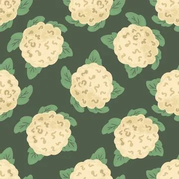 Cauliflower seamless pattern on green background. Stock Illustration