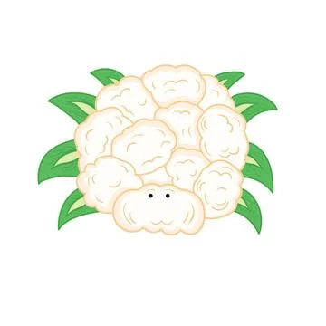 Cauliflower spider Mascot Character Vector illustration color children cart.. Stock Illustration