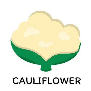 Cauliflower, vector illustration in cartoon flat stye. Food and vegetable concep Stock Illustration