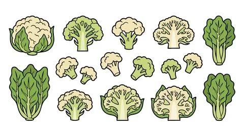 Cauliflower Vector Set with Florets Leaves and Cut Vegetables Stock Illustration