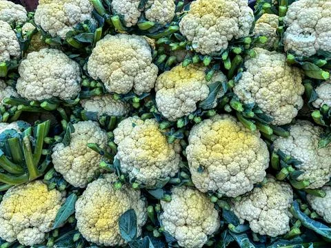 Cauliflower vegetable directly form the farm to market Stock Photos