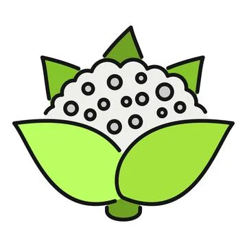 Cauliflower vegetable graphic element icon illustration Stock Illustration
