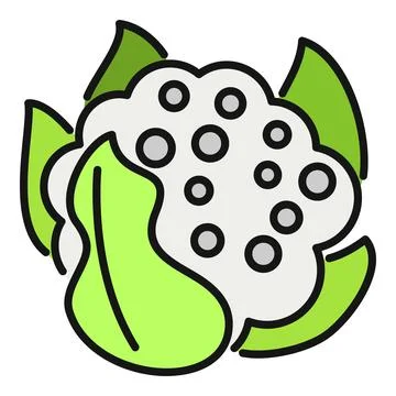 Cauliflower vegetable icon representing healthy organic eating Stock Illustration