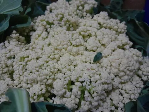 Cauliflower vegetable isolated close up Fotos Stock