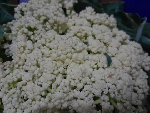Cauliflower vegetable isolated close up Fotos Stock