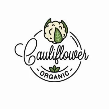 Cauliflower vegetable logo. Round linear on white Stock Illustration