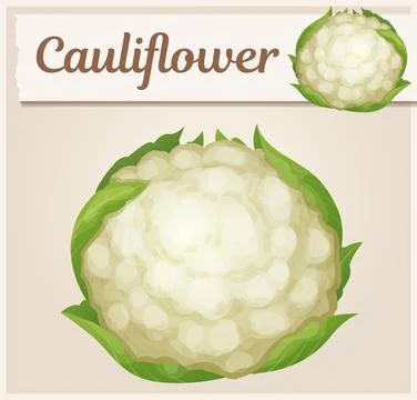 Cauliflower vegetable vector icon. White cabbage ingredient cartoon illustration Stock Illustration