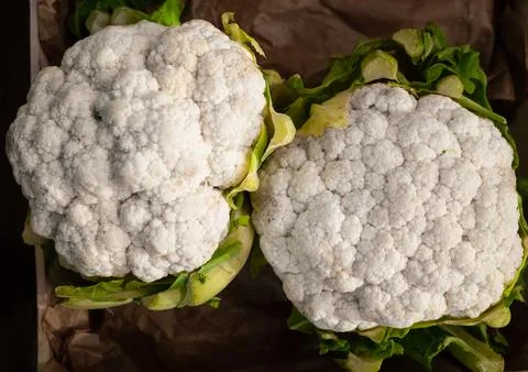 Cauliflower - vegetables 写真素材