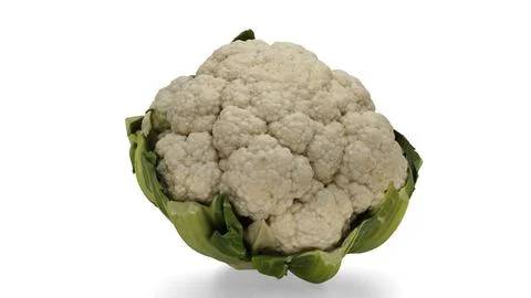 Cauliflower with white background Stock Illustration