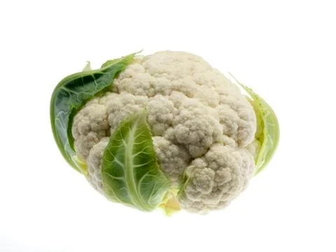 Cauliflower on white background Stock Photos