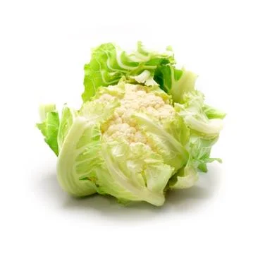 Cauliflower on white. Stock Photos