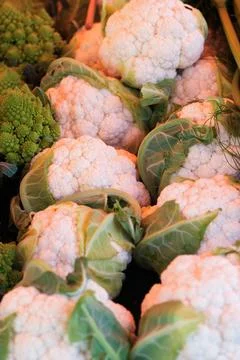 Cauliflowers Foto stock