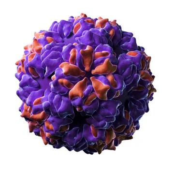 Caulobacter bacteriophage Stock Illustration