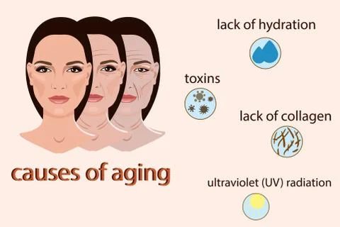 Causes of aging, vector illustration with two faces and small pictures Stock Illustration