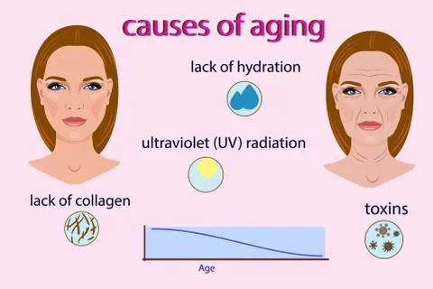 Causes of aging, vector illustration with two faces and small pictures isolated Stock Illustration